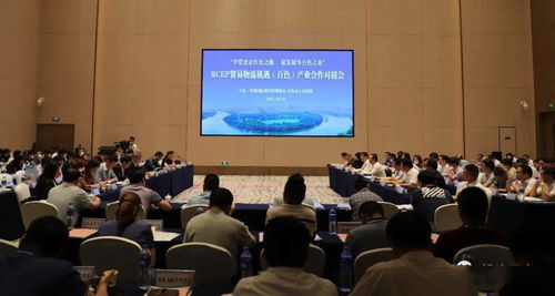 對接RCEP新機遇，共謀貿易物流新篇章——中國國際貨運代理協會考察團赴我市開展產業合作對接